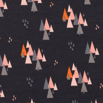 BIO Som.-Sweat INTO THE MOUNTAINS