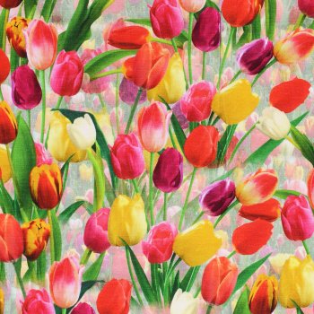 DUTCH TULIPS ... Digidruck
