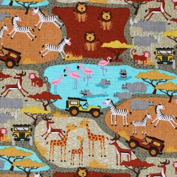 Safari: Mini Afrika