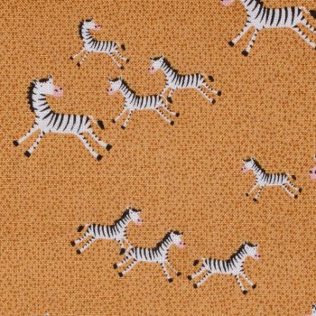 Safari: Mini Zebras
