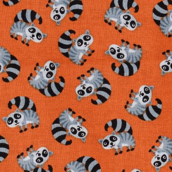 Mini Critters: Racoons
