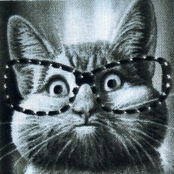 Kitty Chronicle