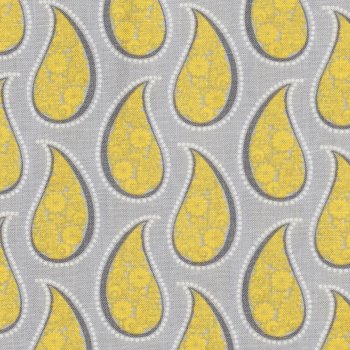 GREY MATTERS MORE: Paisley
