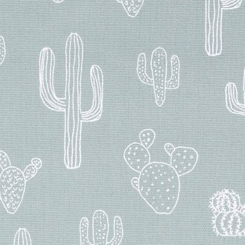 Canvas TEXAS Mint
