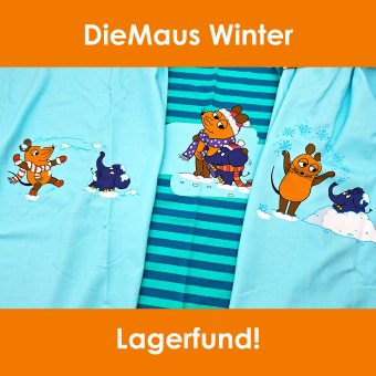 Lagerfund! MAUS - WINTER  PANEL (1B?) 