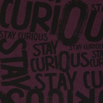 Sommersweat STAY CURIOUS SCHRIFT by Thorsten Berger BLAU 