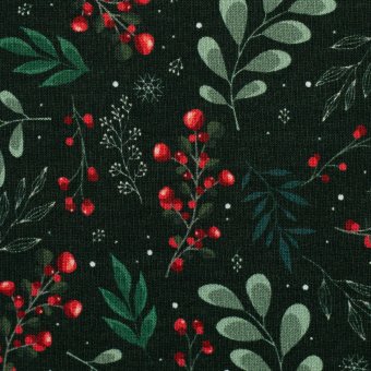 Swafing Sweat HOLLY Mistelzweige 