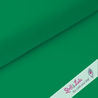 BIG10 - PAMUK® Jersey FLASCHENGRÜN 