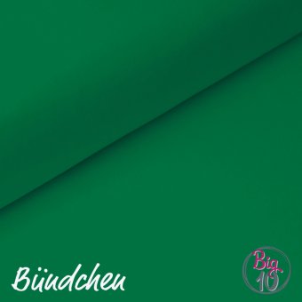 BIG10 - PAMUK® Bündchen FLASCHENGRÜN 