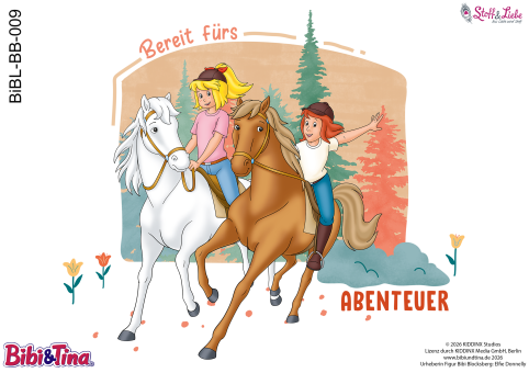 Bügelbild A5 -BIBI & TINA  #09 