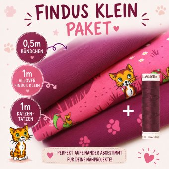 PRE-ORDER Klein Findus SPARPAKET Beere 