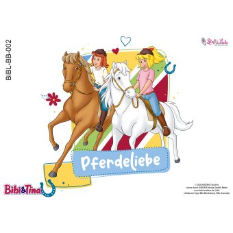 Bügelbild A5 -BIBI & TINA #02 