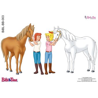 Bügelbild A5 -BIBI & TINA #03 
