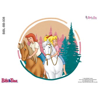 Bügelbild A5 -BIBI & TINA #08 