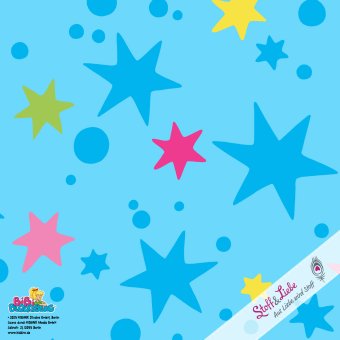 Pre-Order Jersey "Bibi Schule" STERNE 