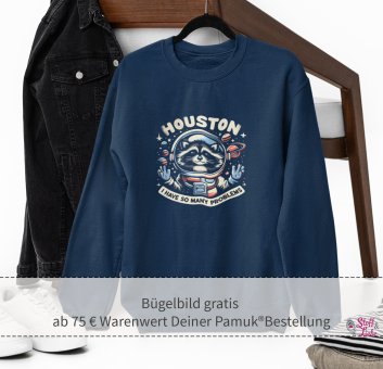 GOODIE 5: Bügelbild "HOUSTON" (> 75 € PAMUK®) 