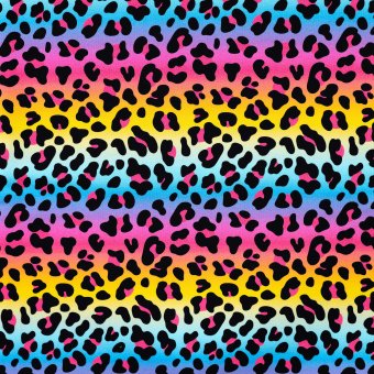 Sommersweat Leopard Rainbow Stripes 
