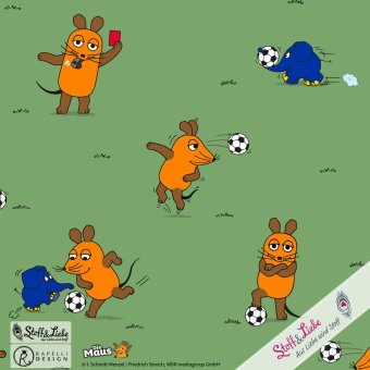 PreO JERSEY DieMaus Fußball AO GRÜN 