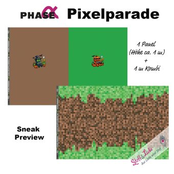 SNEAK 2: PIXELPARADE (1m+1m) 