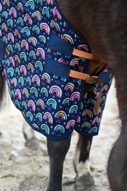 NANO Softshell FIETE by Swafing - REGENBOGEN